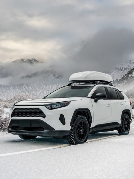 winter - rav4 webp